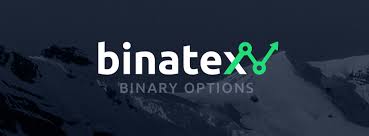 Binatex